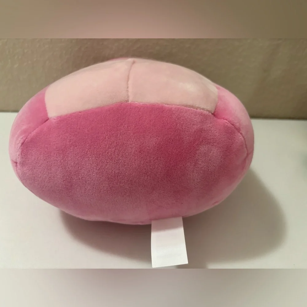 NWT Squishmallows Arabella Strawberry Frog 10”